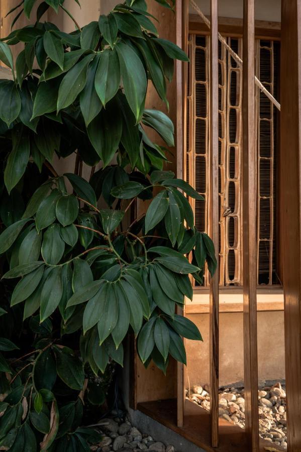 Nani Bed & Breakfast ซานอากุสตีนีโย ภายนอก รูปภาพ